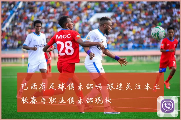 巴西有足球俱乐部吗 球迷关注本土联赛与职业俱乐部现状