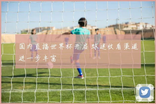 国内直播世界杯开启 球迷收看渠道进一步丰富