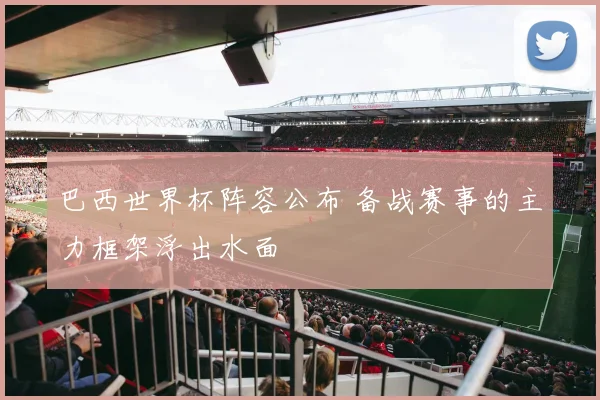 巴西世界杯阵容公布 备战赛事的主力框架浮出水面