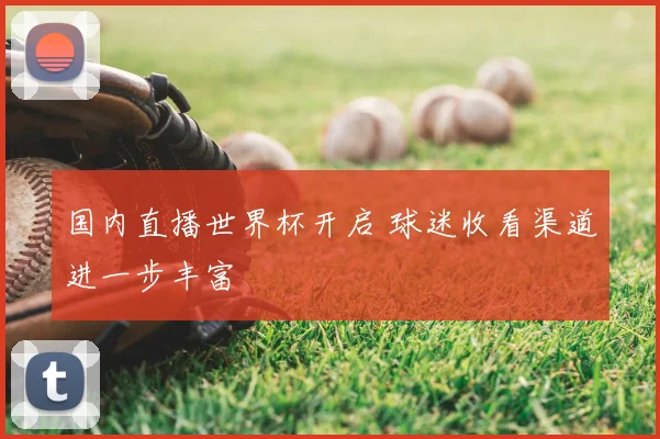 国内直播世界杯开启 球迷收看渠道进一步丰富