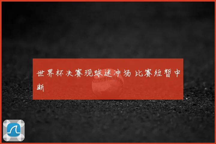 世界杯决赛现球迷冲场 比赛短暂中断