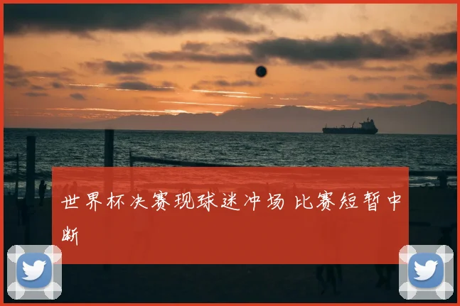 世界杯决赛现球迷冲场 比赛短暂中断