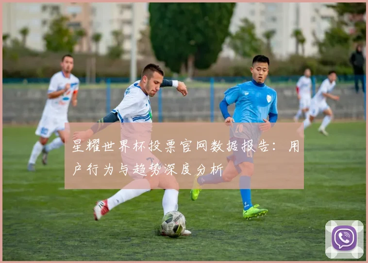 星耀世界杯投票官网数据报告：用户行为与趋势深度分析
