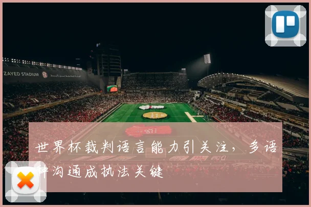 世界杯裁判语言能力引关注，多语种沟通成执法关键