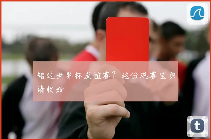 错过世界杯友谊赛？这份观赛宝典请收好