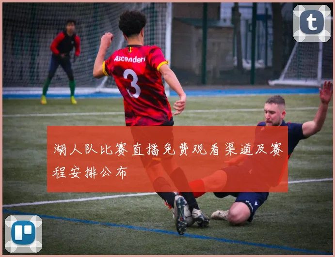 湖人队比赛直播免费观看渠道及赛程安排公布