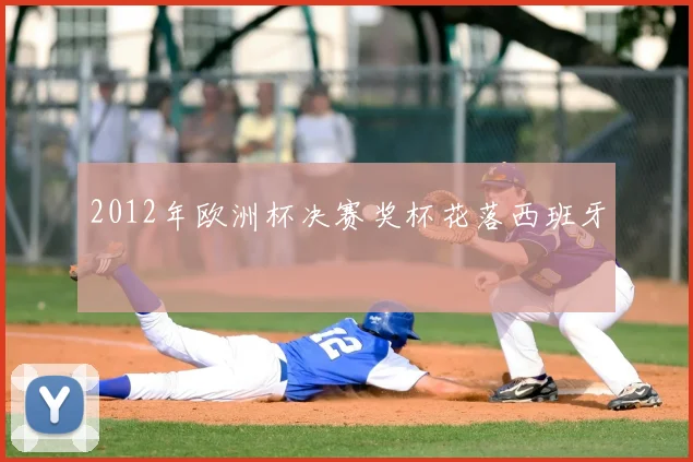 2012年欧洲杯决赛奖杯花落西班牙
