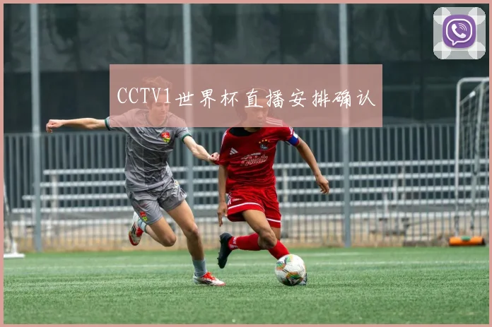 CCTV1世界杯直播安排确认